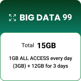 BIG DATA 99